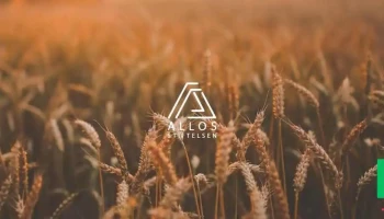 Allos Stiftelsen - Skogn