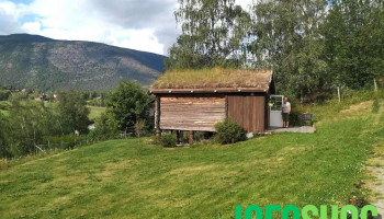 Andberg - Lom