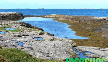 Askevågen Uitkijk - Hustad