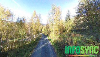 Bangs Data As - Ålen
