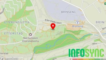 Bedriftsystemer As - Oslo