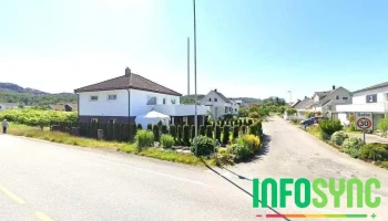Dekkjungelen - Hauge I Dalane