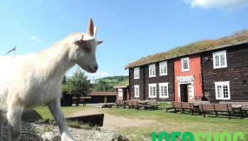 Dølmotunet - Tolga