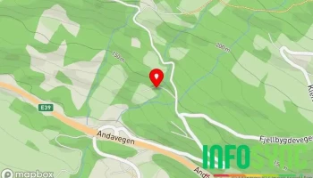 Fure Mini Gravemaskin - Sandane