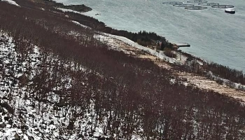 Gryllefjord observasjonskurve - Gryllefjord