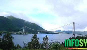 Halsa - Halsa