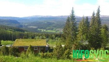 Haltdalen - Haltdalen