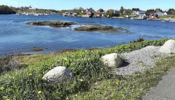 Herøy kommune - Herøy