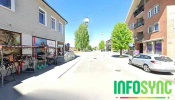 Hjelp Pus Hadeland - Gran