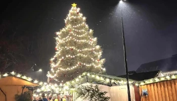 Julebyen Egersund - Norge