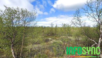 Kautokeino Samisk vgs. - Kautokeino