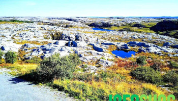 Kverva Naturskjønn utsikt - Kverva