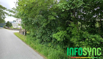 LocalHost As, avd. Vestnes - Vestnes