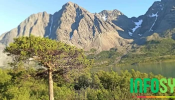 Lyngen kommune - Lyngen Kommune
