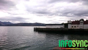 Nav Lødingen - Lødingen