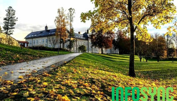 Nord universitet, Levanger - Levanger