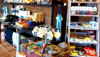 Norsk skogmuseum - Elverum