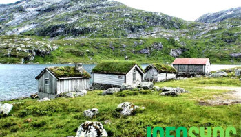 Nrk Vestland - Førde - Førde