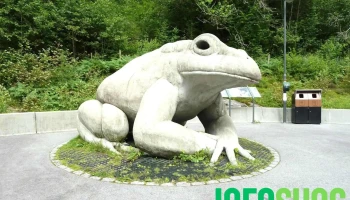 Paddeland - Volda
