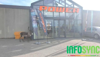Power Hammerfest - Rypefjord