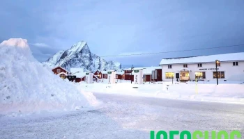Reine Bus - Reine