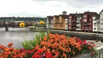 Revisjon Midt-Norge Sa - Steinkjer