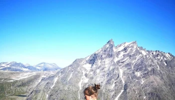 Romsdalseggen Ridge - Isfjorden