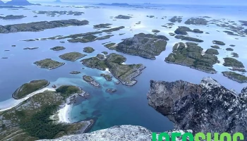 Rødøyløva - Norge