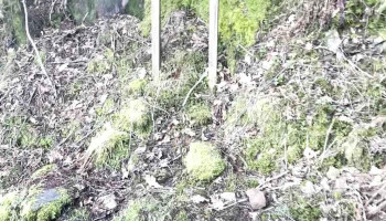 Selvågen - Norge Selvågen - Norge