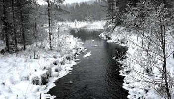 Siljan - Siljan
