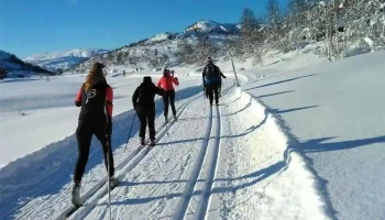 Sinneshyttå bygg As - Tjørhom