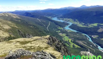Skagsnebb - Norge