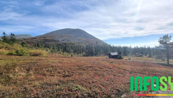 Skihytta Ekspress - Trysil