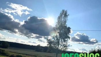 Skotterud - Skotterud