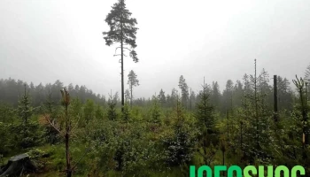 Skysethøgda - Hagan