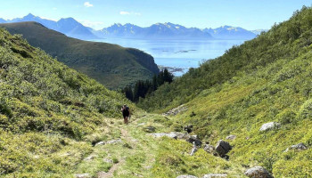 Sæterfjellet - Stokmarknes