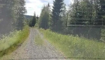 Sør-Odal - Sør-Odal