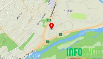 Team Verksted Hallingdal - Gol