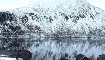 Torsken krysset - Torsken