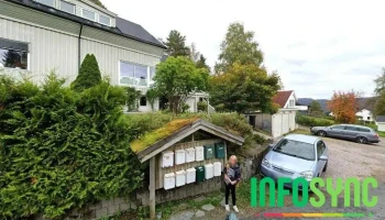 Tretopphytter i Namdalen Ans - Namsos