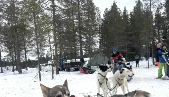 Trysil Husky - Tørberget