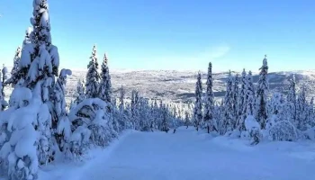 Trysil Høyfjellssenter - Trysil
