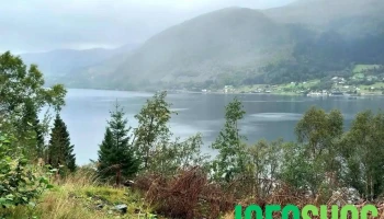 Vekstra Fjord Rekneskap As avd Nordfjordeid - Nordfjordeid