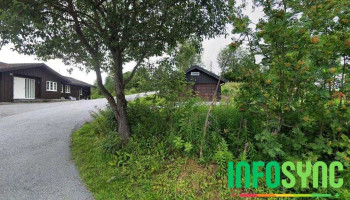 Vest-Telemark barne- ungdoms- og familiesenter (Bufetat sør) - Vinje