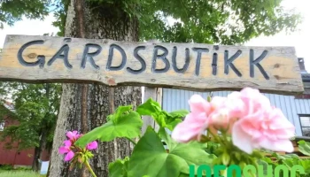 Viker Gårdsutsalg - Gårdsbutikk | Fairtrade | Andelslandbruk - Vikersund