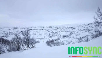 Ådneram skitrekk As - Tjørhom