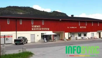 Ål Kjøpelag - Ål