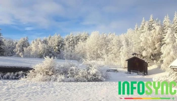 Åse-Vøllestad Skogen As - Drangedal