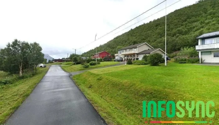 Aie Norge - Myre