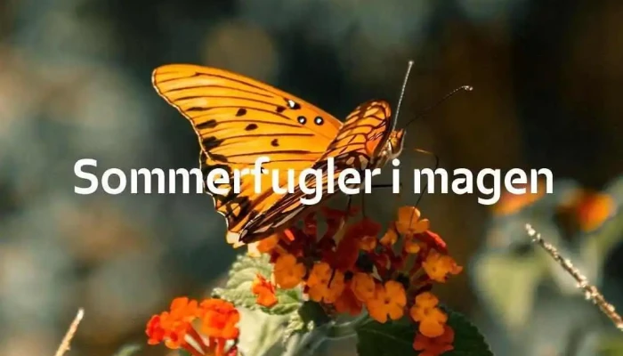 Aktiv Eiendomsmegling Mo I Rana - Mo I Rana